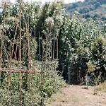 Casa Dentraki *
