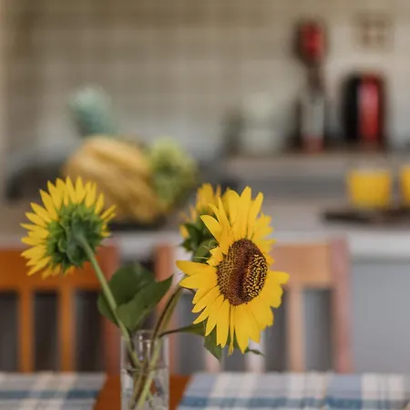 Casa Dentraki Holiday home